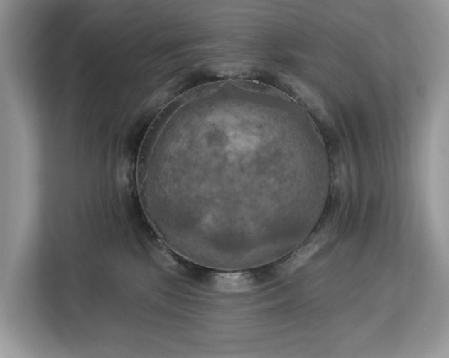 X0000113100281200908281354