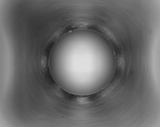 X0000113100283200908281354