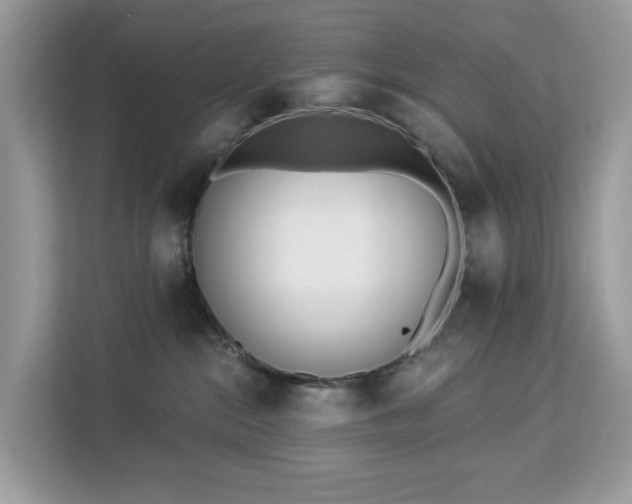 X0000113100284200908281354