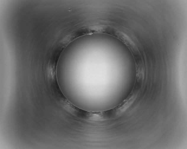 X0000113100285200908281354