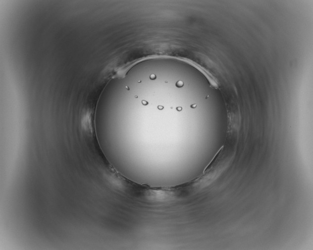 X0000113100286200908281354