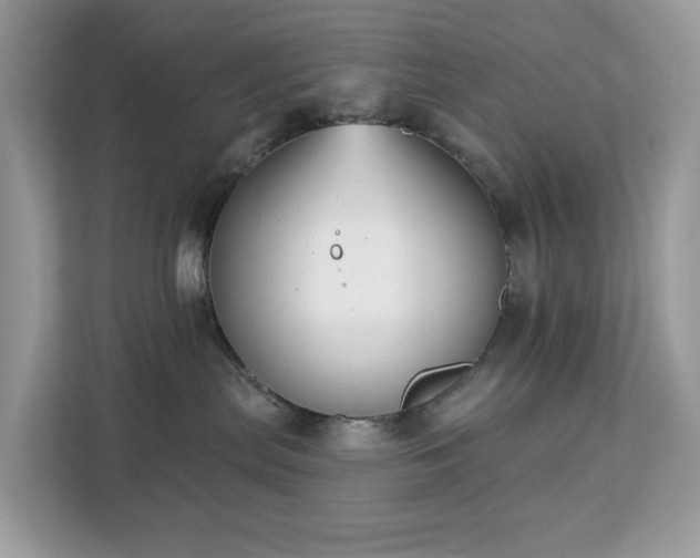 X0000113100287200908281354