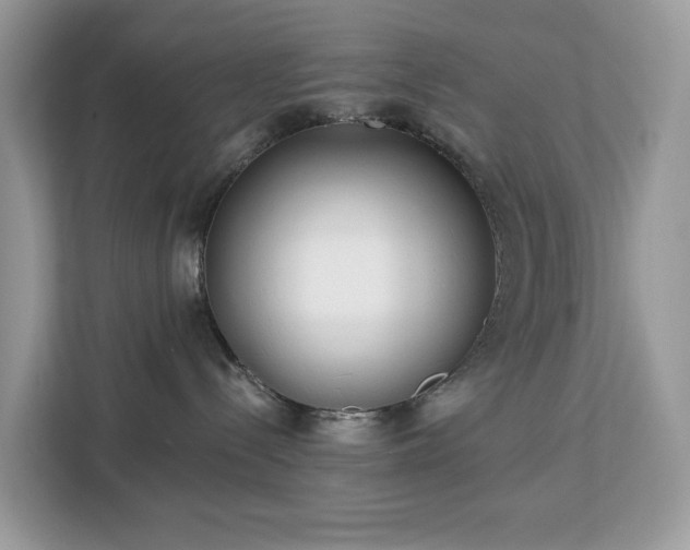 X0000113100288200908281354