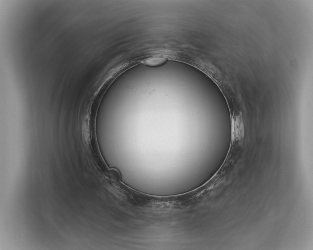 X0000113100291200908281353