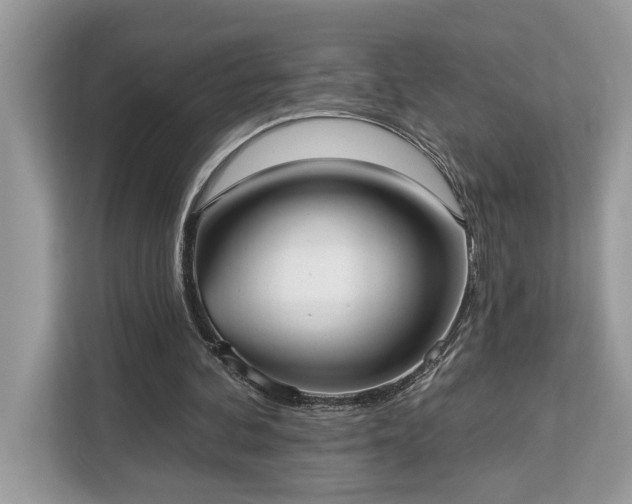 X0000113100292200908281353