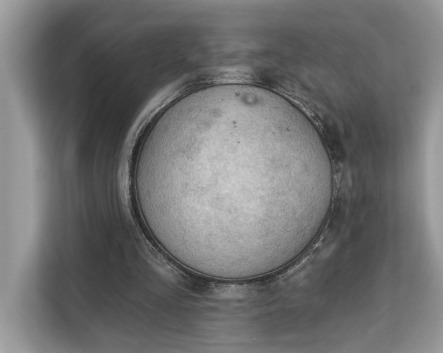 X0000113100293200908281353