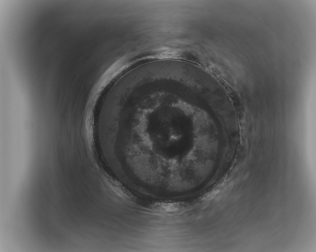 X0000113100295200908281353