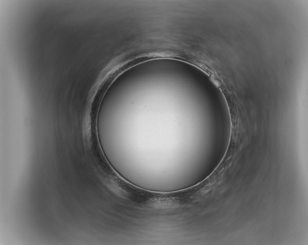 X0000113100296200908281353