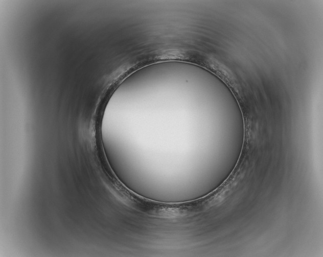 X0000113100298200908281353