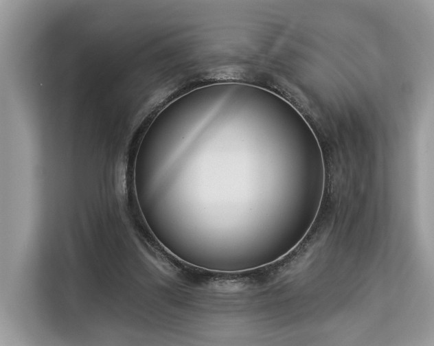 X0000113100299200908281353
