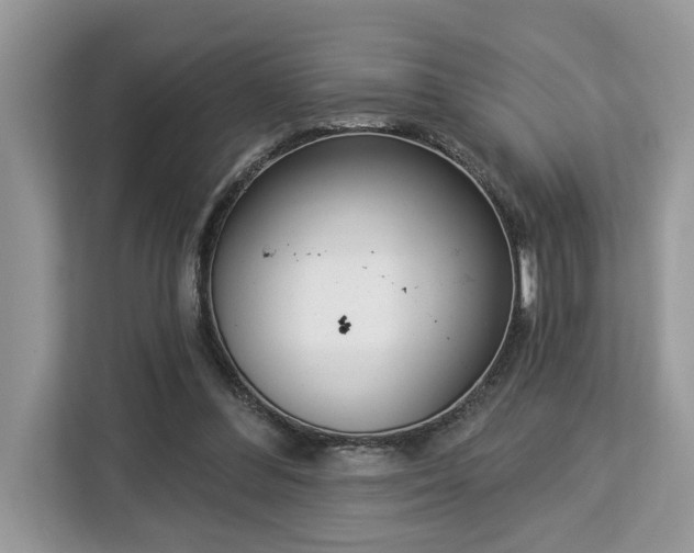 X0000113100300200908281353