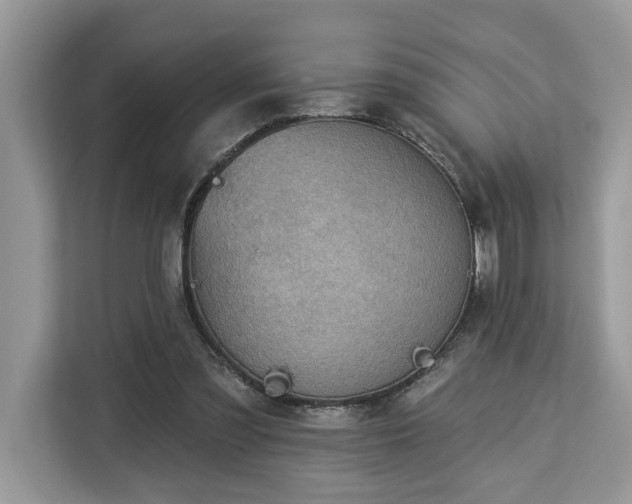 X0000113100301200908281353