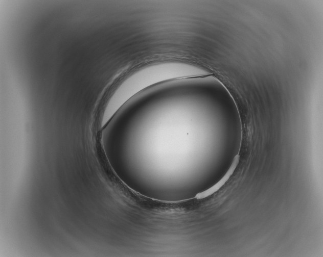 X0000113100304200908281353