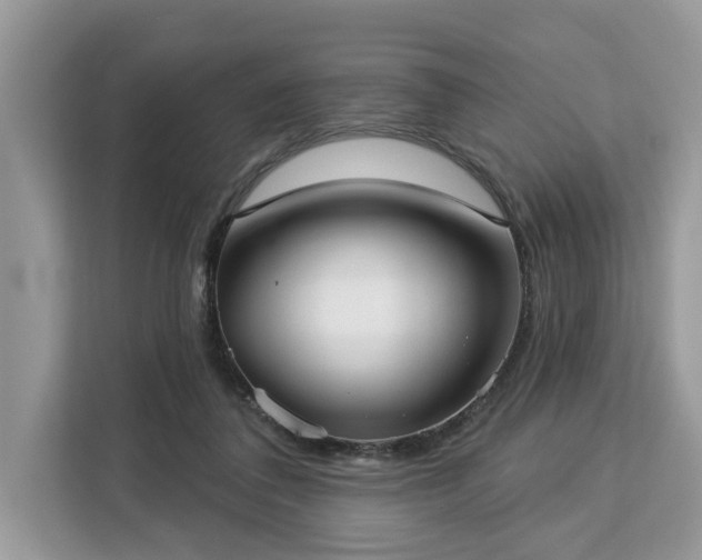 X0000113100308200908281353