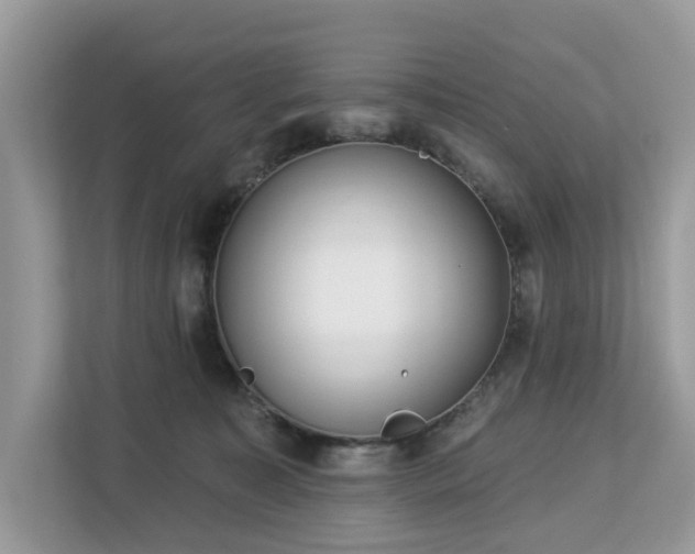 X0000113100323200908281353