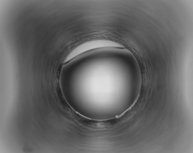 X0000113100324200908281353