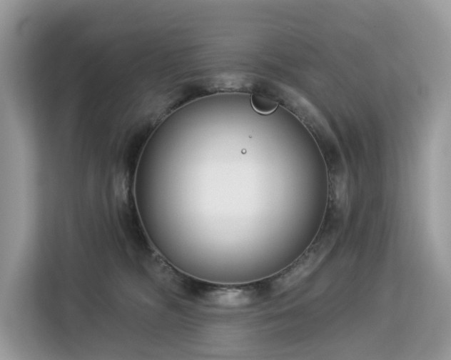 X0000113100326200908281353