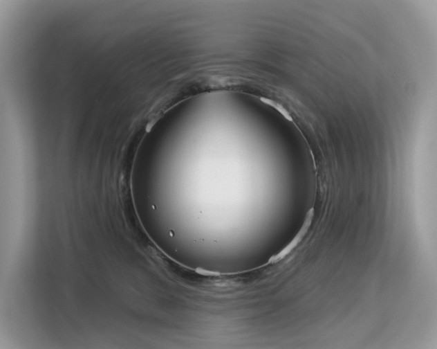 X0000113100327200908281353