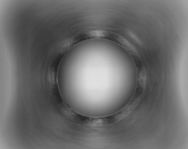 X0000113100330200908281353