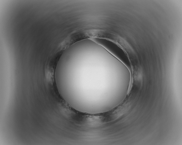 X0000113100332200908281353