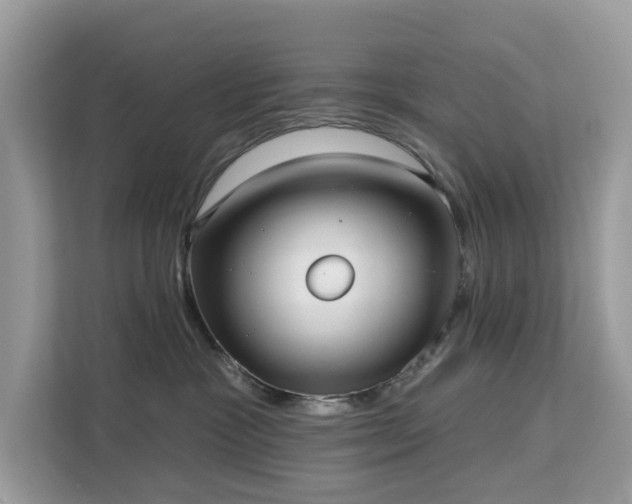 X0000113100333200908281353