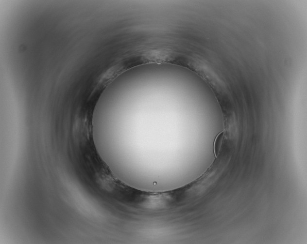 X0000113100334200908281353