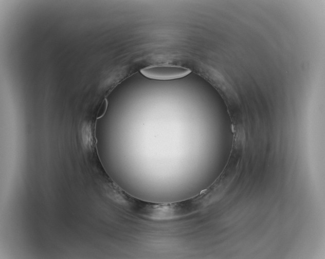 X0000113100335200908281353