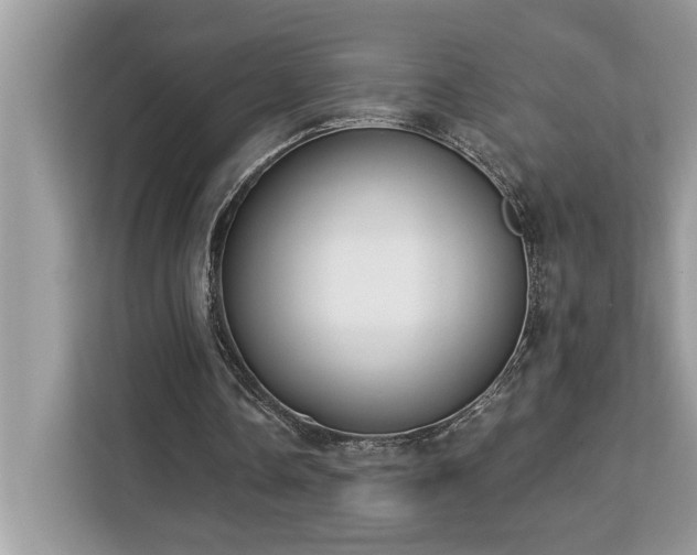 X0000113100338200908281352