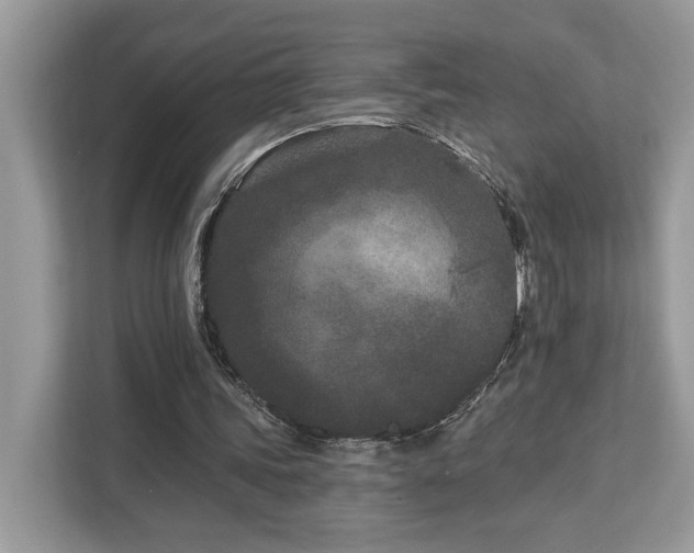 X0000113100339200908281352