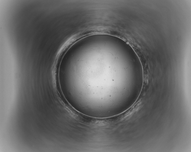 X0000113100341200908281352