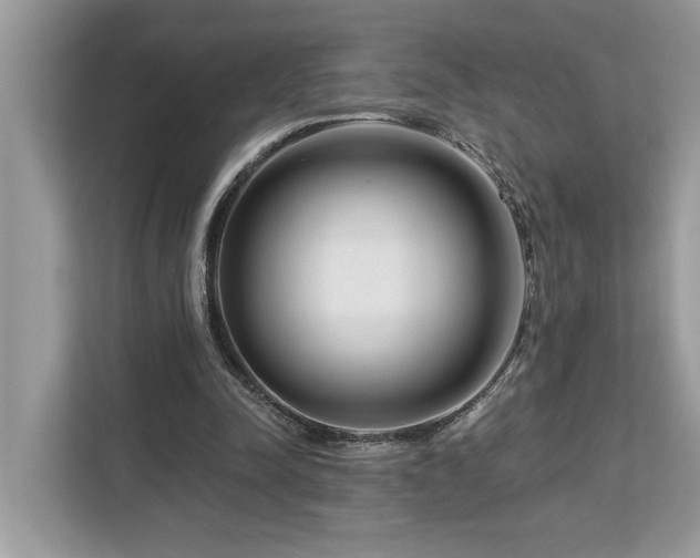 X0000113100342200908281352