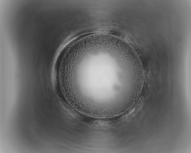 X0000113100343200908281352