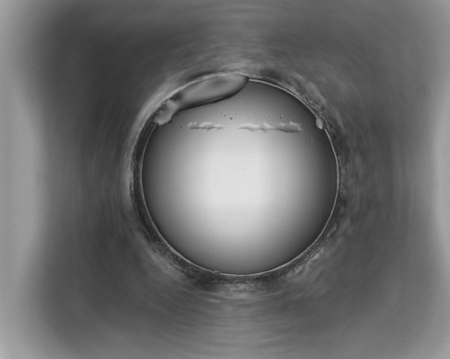 X0000113100344200908281352