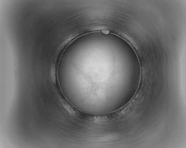 X0000113100345200908281352