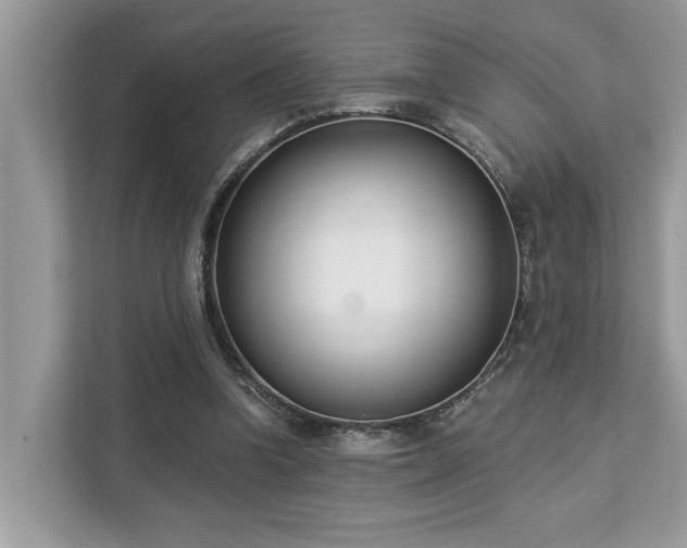 X0000113100346200908281352