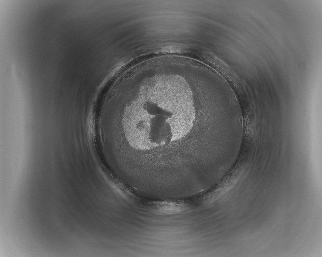 X0000113100347200908281352