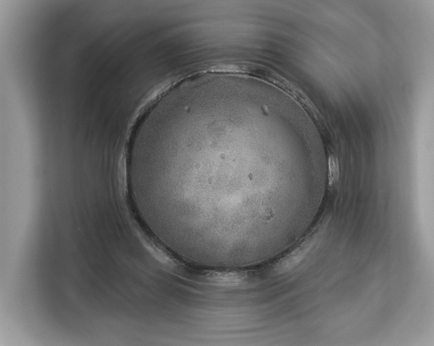 X0000113100349200908281352