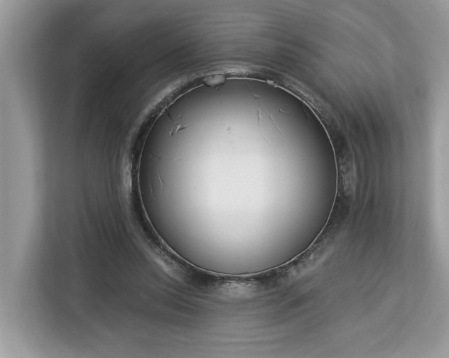 X0000113100350200908281352