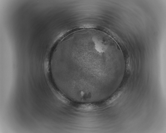 X0000113100351200908281352