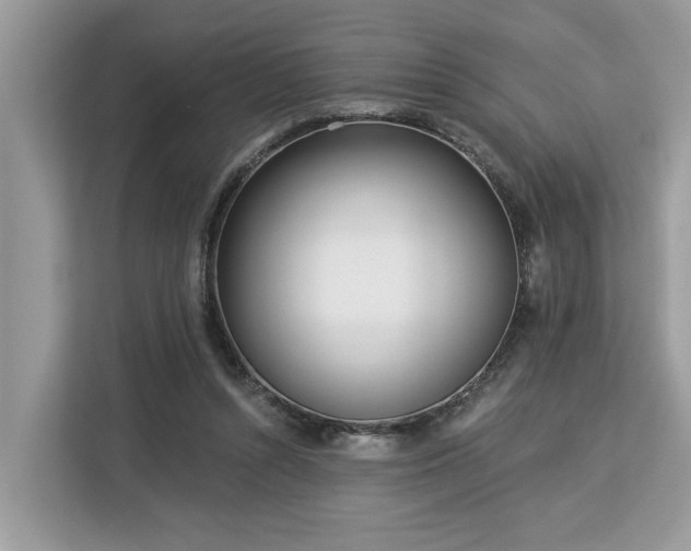 X0000113100352200908281352