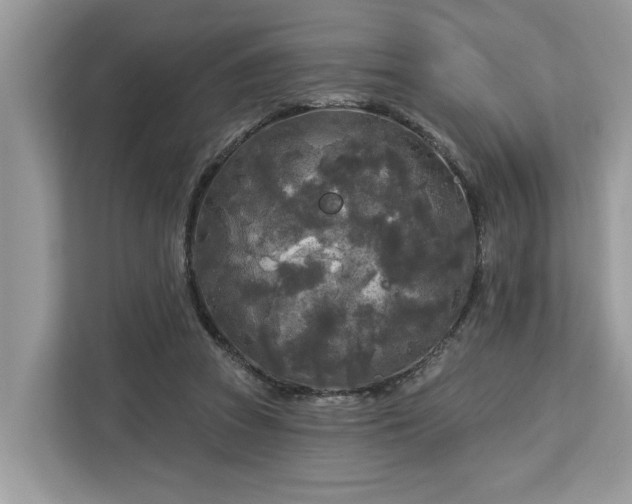 X0000113100353200908281352