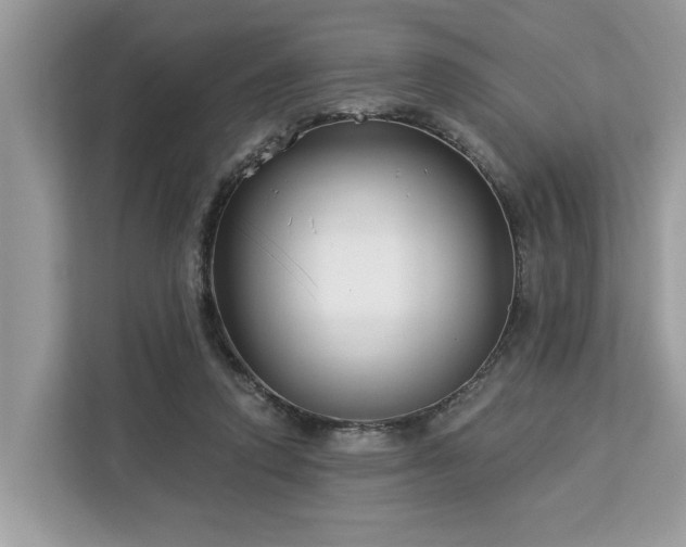 X0000113100354200908281352