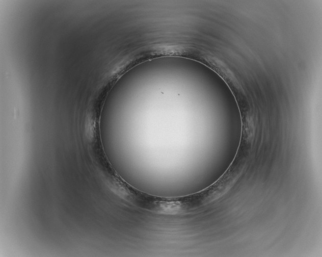 X0000113100355200908281352