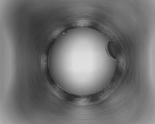 X0000113100356200908281352