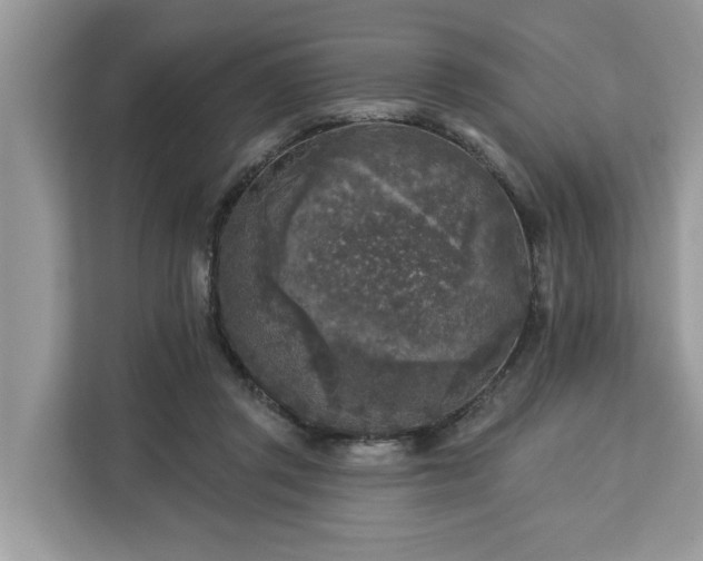 X0000113100357200908281352