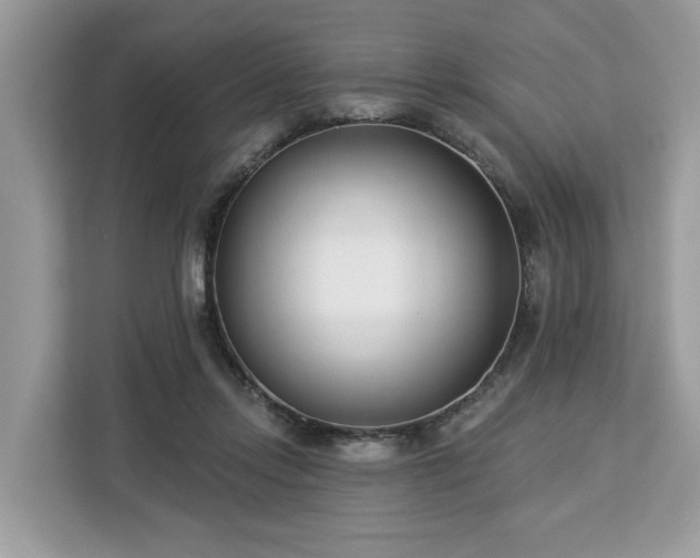 X0000113100358200908281352