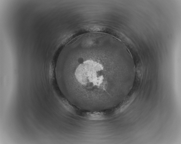 X0000113100359200908281352