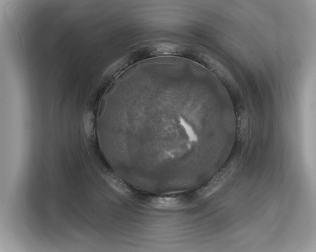 X0000113100361200908281352