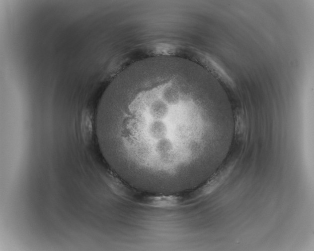 X0000113100363200908281352
