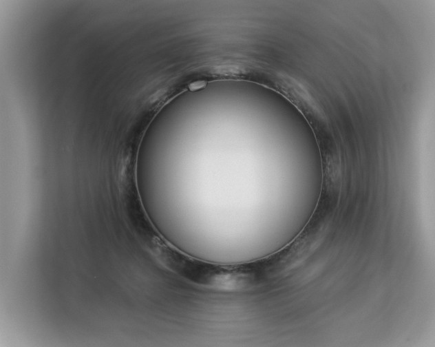 X0000113100364200908281352